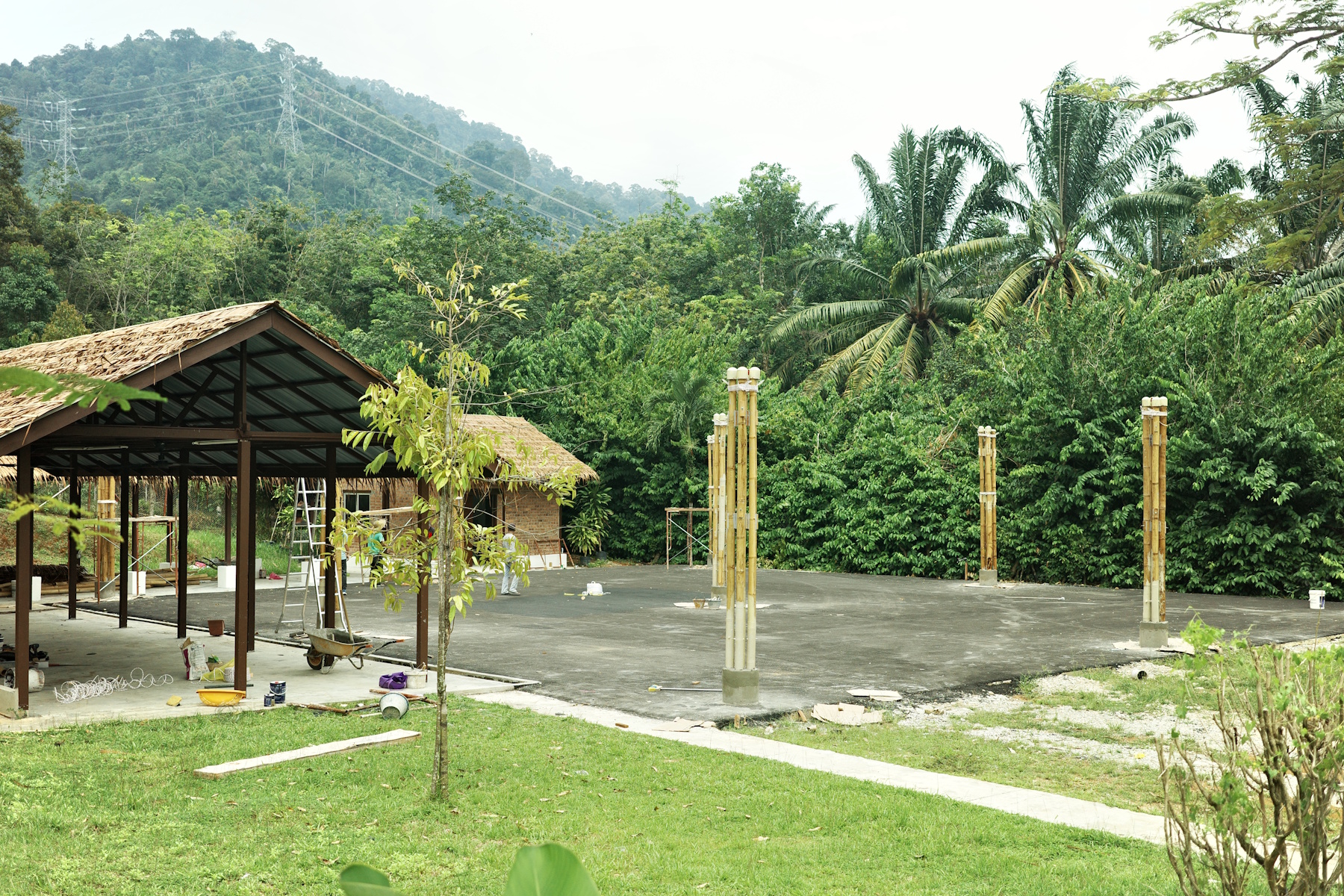 Finished bamboo columns